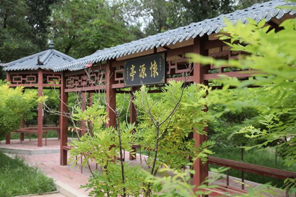 5K7A0374_副本.jpg